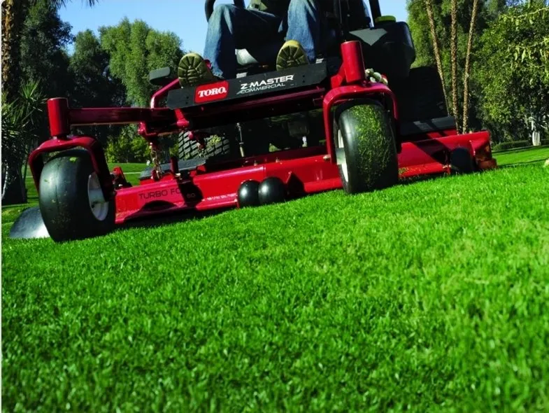 Top-rated lawn care service in Myrtle Beach, SC - CD Enterprises