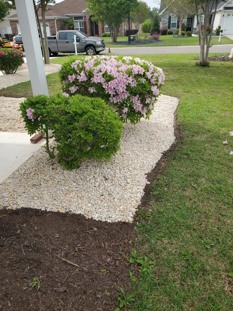 Top-rated lawn care service experts serving Myrtle Beach, SC - CD Enterprises