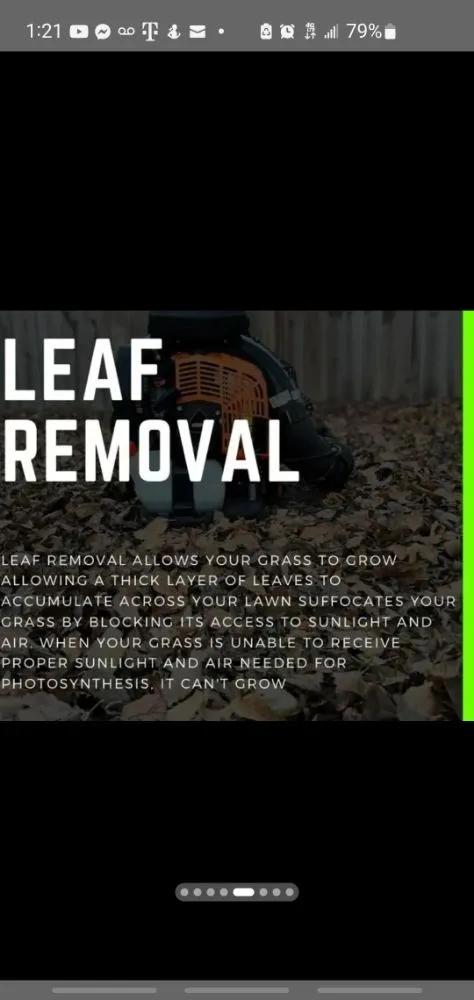 Custom lawn care service for beautiful yards in Myrtle Beach, SC by CD Enterprises