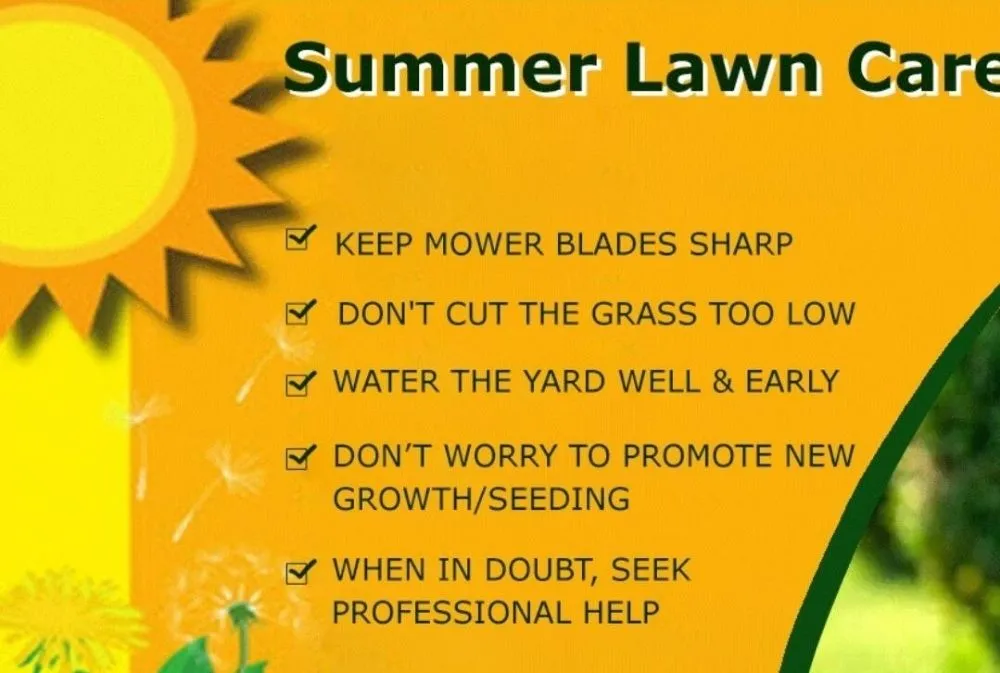 Professional residential landscaping in Myrtle Beach, SC - CD Enterprises