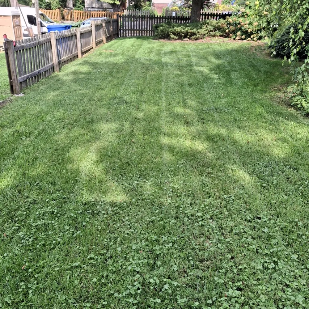 Reliable lawn care service experts serving Swannanoa, NC - C&D Grass Slingers