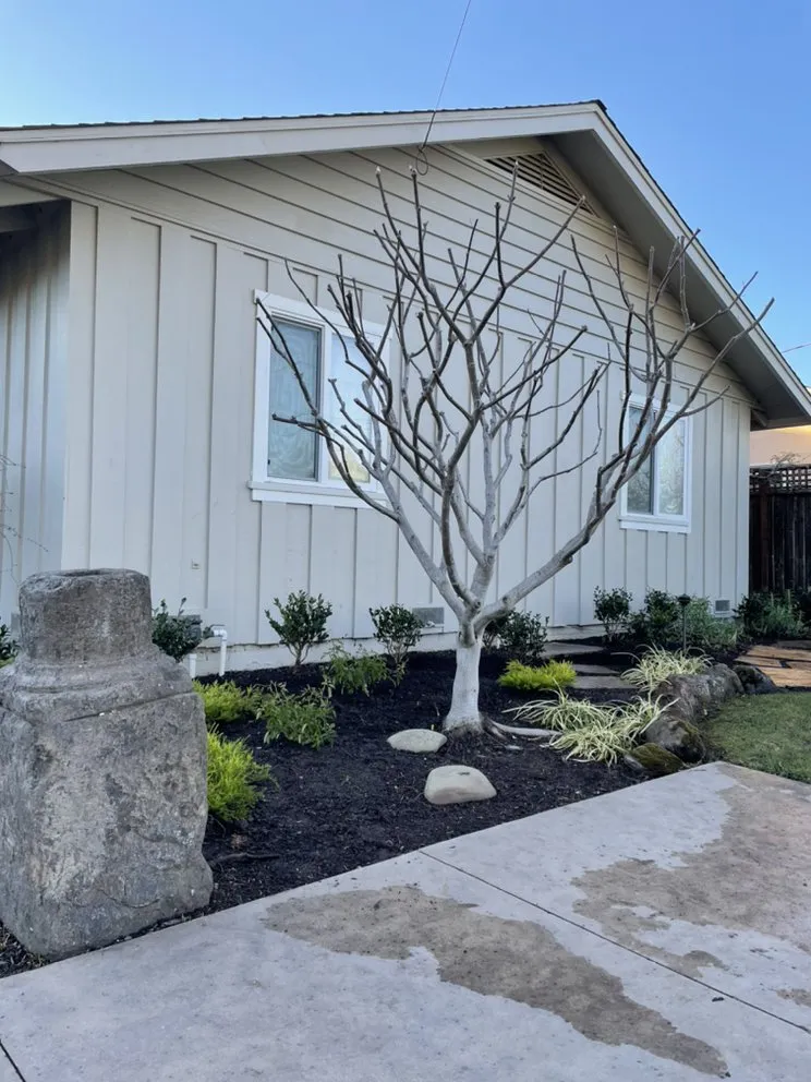 Local landscape design for residential properties in Walnut Creek, CA by CD GreenWorks