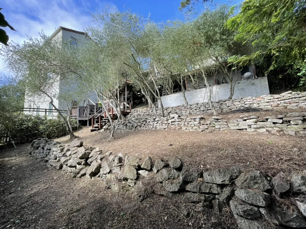 Professional yard maintenance experts serving Walnut Creek, CA - CD GreenWorks