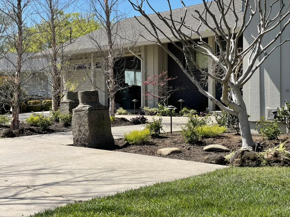 Reliable outdoor landscaping in Walnut Creek, CA by CD GreenWorks