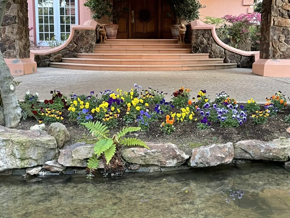 Expert landscape installation in Walnut Creek, CA - CD GreenWorks