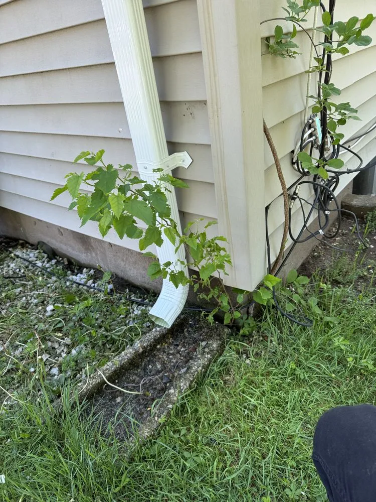 Reliable landscaping services for outdoor upgrades across Glastonbury, CT - CD Home Improvement