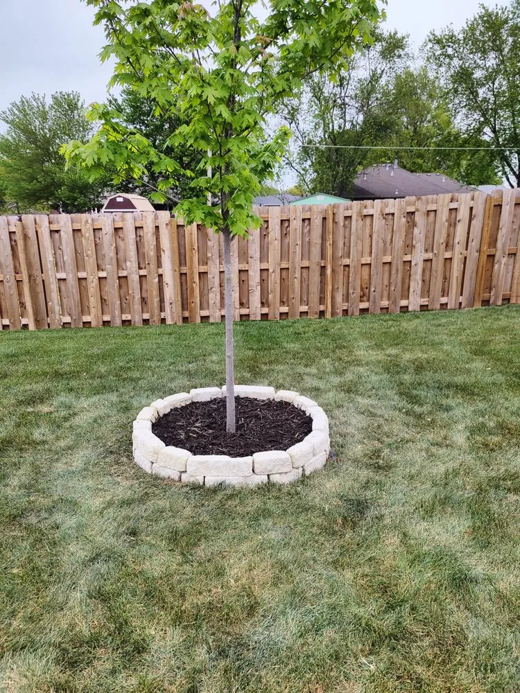 Local landscape design in Branson, MO - Cd Infinity Landscaping