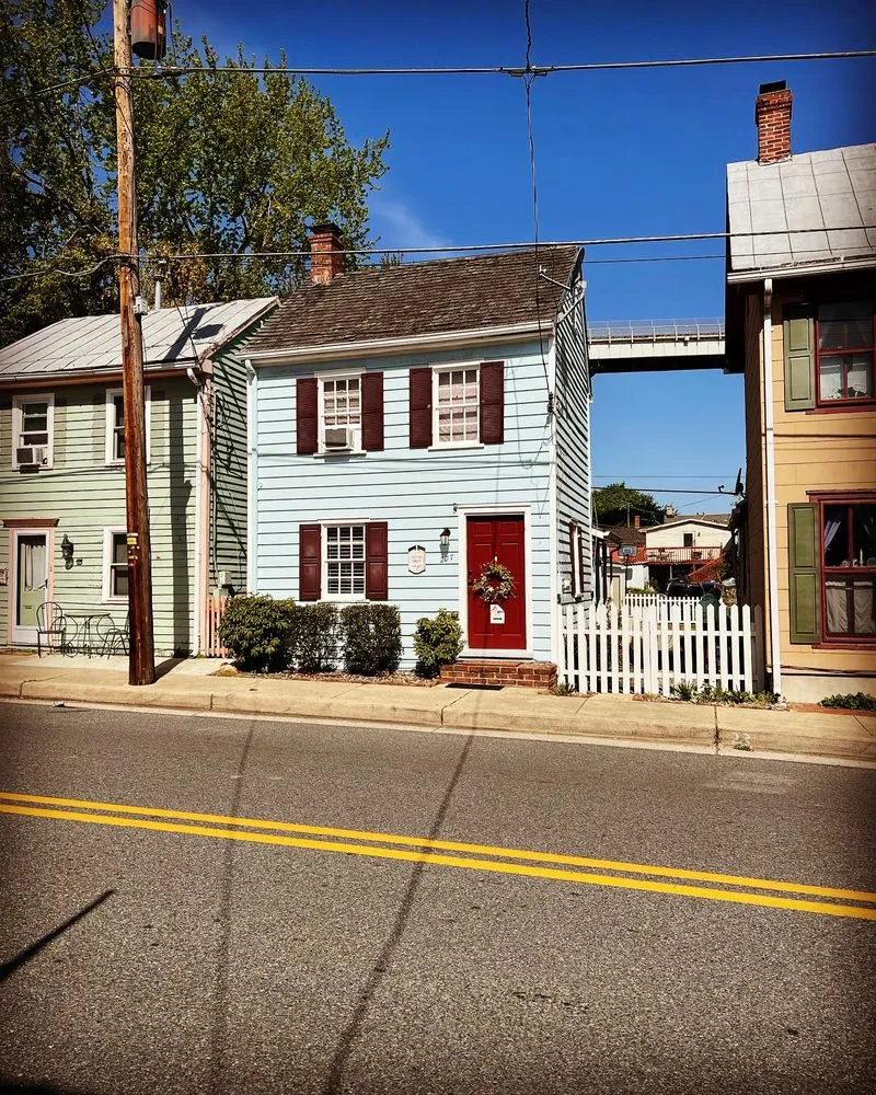 Top-rated outdoor landscaping for year-round maintenance in Elkton, MD by C&D Landscaping