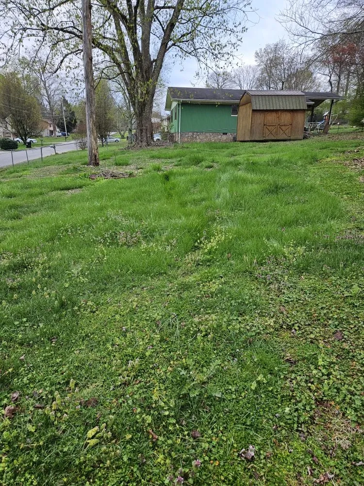 Top-rated garden landscaping experts serving Chattanooga, TN - CD Lawn Care