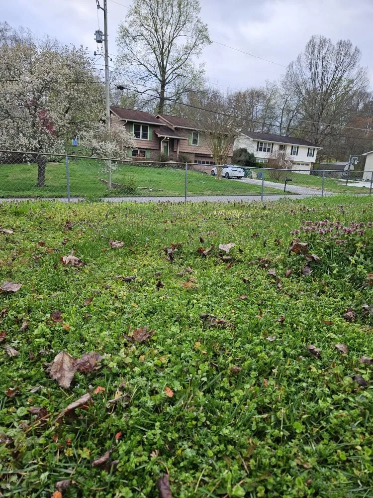 Top-rated garden landscaping for homes in Chattanooga, TN by CD Lawn Care