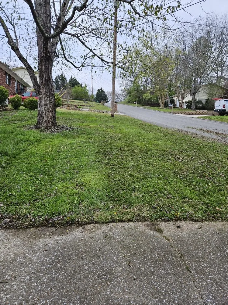 Top-rated yard cleanup service in Chattanooga, TN - CD Lawn Care