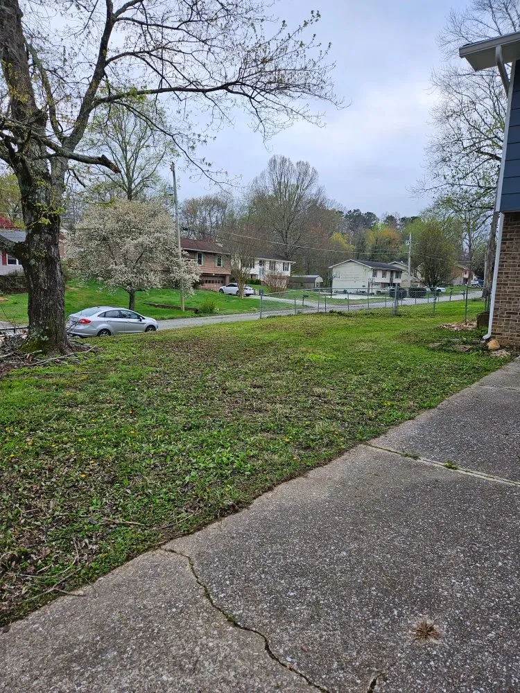 Trusted landscape installation in Chattanooga, TN by CD Lawn Care