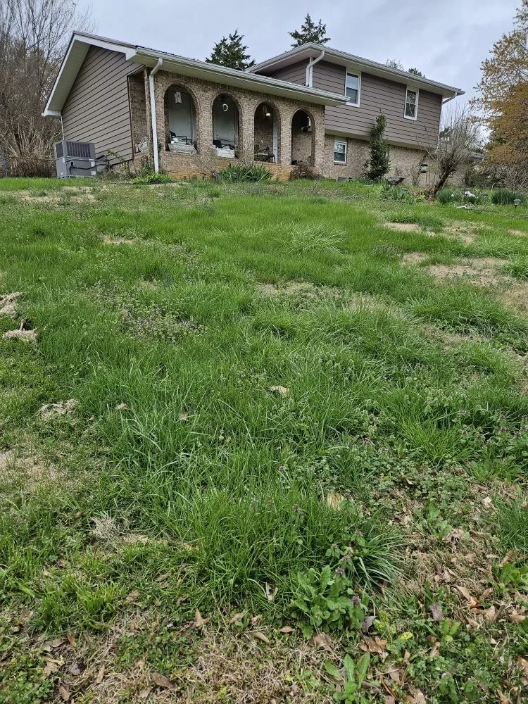 Top-rated lawn mowing service experts serving Chattanooga, TN - CD Lawn Care