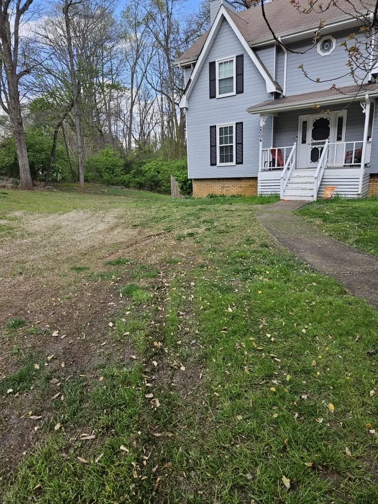 Custom yard maintenance for year-round maintenance in Chattanooga, TN by CD Lawn Care