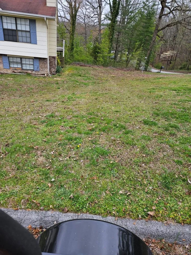 Trusted residential landscaping for beautiful yards across Chattanooga, TN - CD Lawn Care