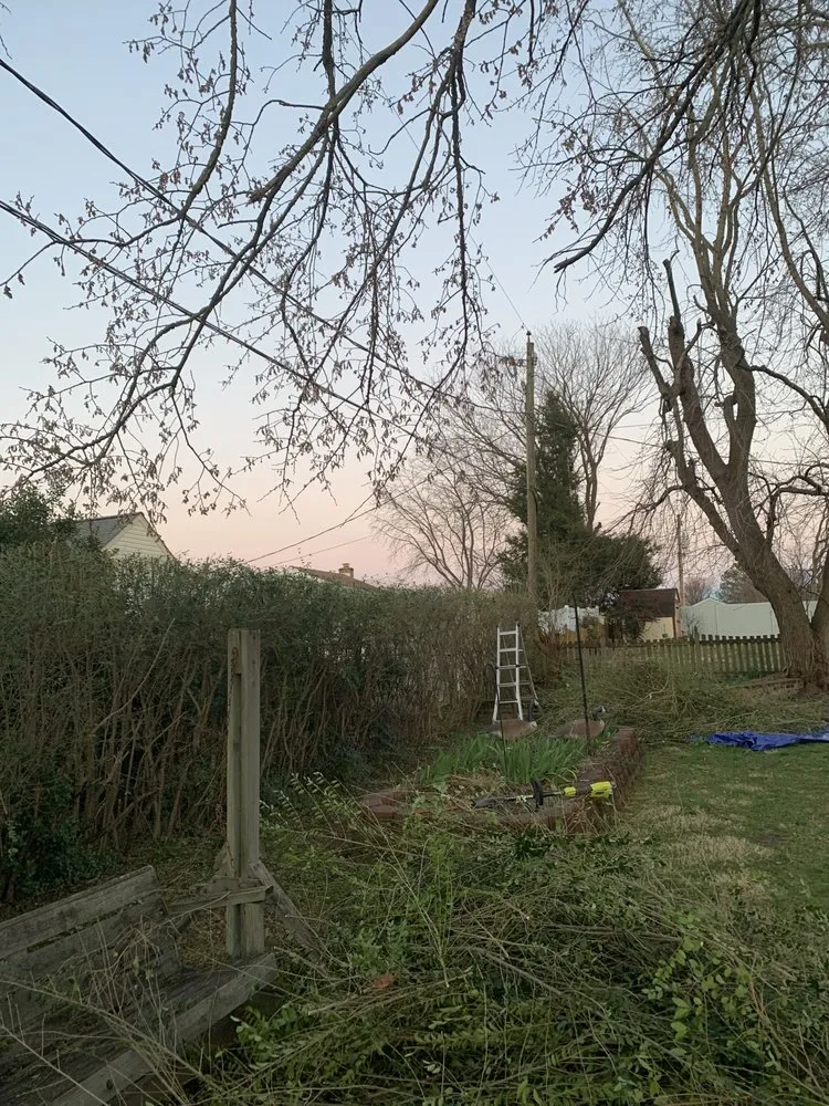 Local garden landscaping in Ettrick, VA by CD Lawn Care