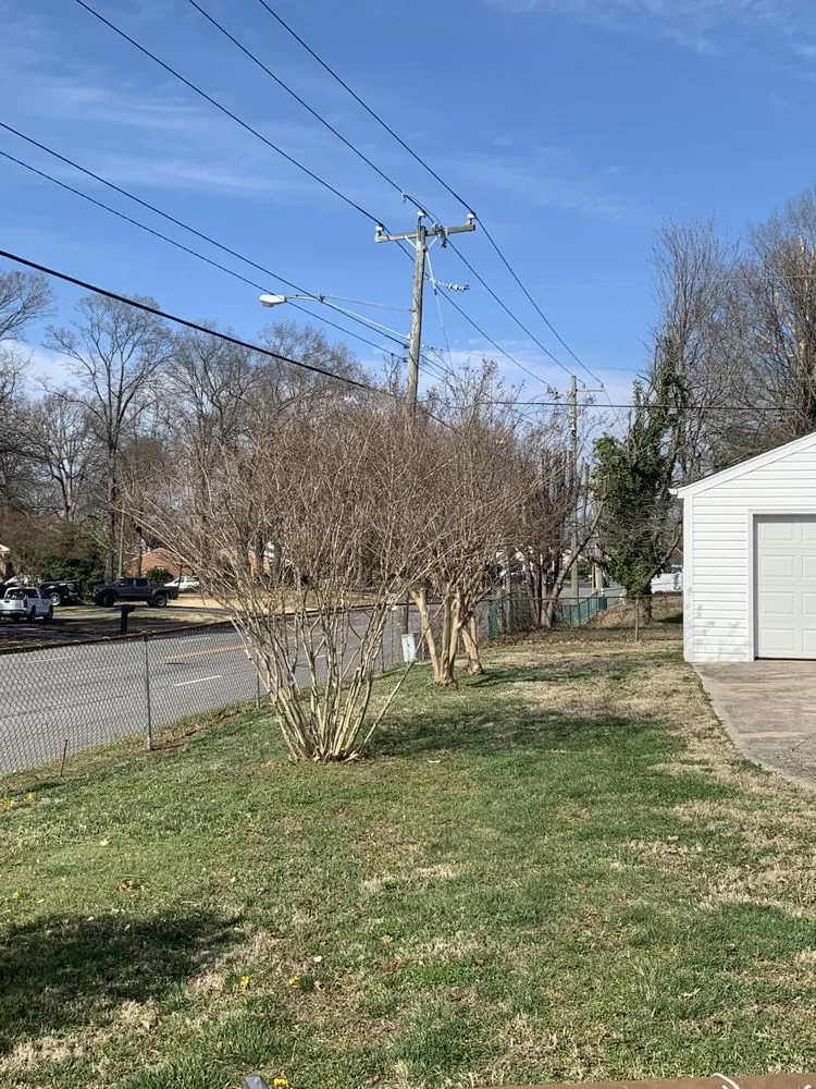 Trusted landscape installation in Ettrick, VA - CD Lawn Care