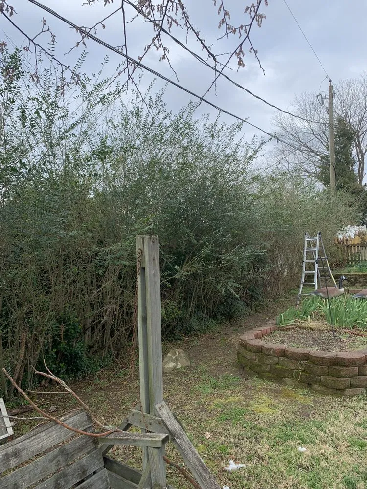 Local yard maintenance experts serving Ettrick, VA - CD Lawn Care