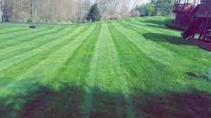 Custom landscape installation for year-round maintenance across Ettrick, VA - CD Lawn Care