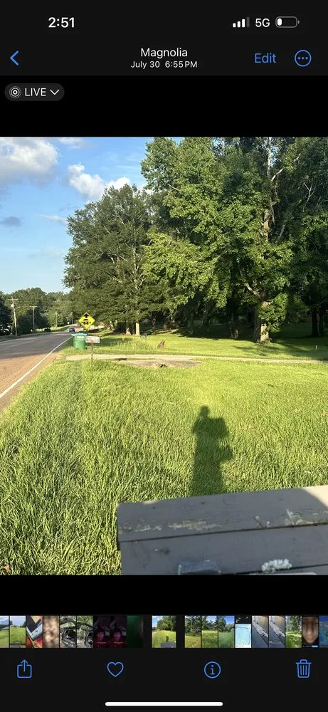 Expert landscape design for beautiful yards across Summit, MS - C&D Lawn Care Services