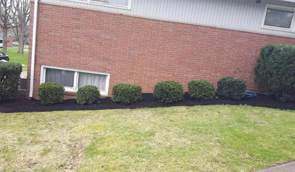 Reliable lawn mowing service in Canton, OH by C&d Lawn Service