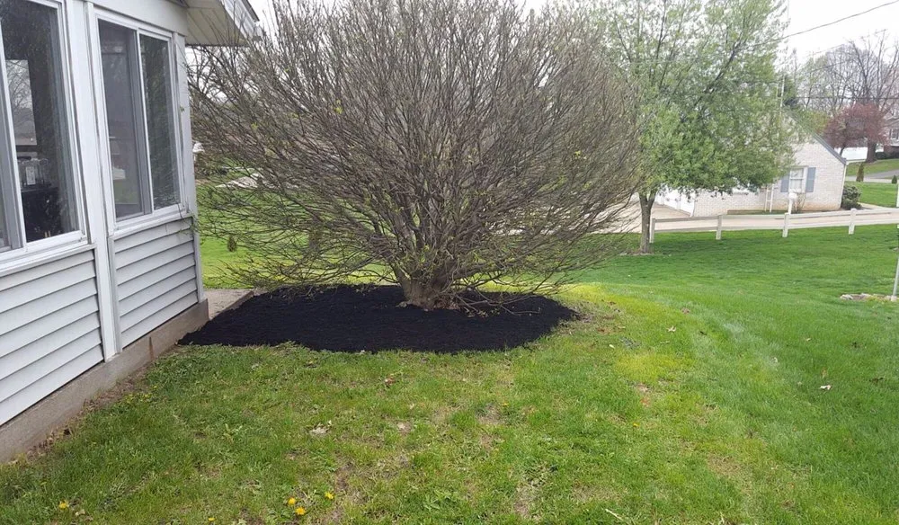 Reliable landscaping services experts serving Canton, OH - C&d Lawn Service