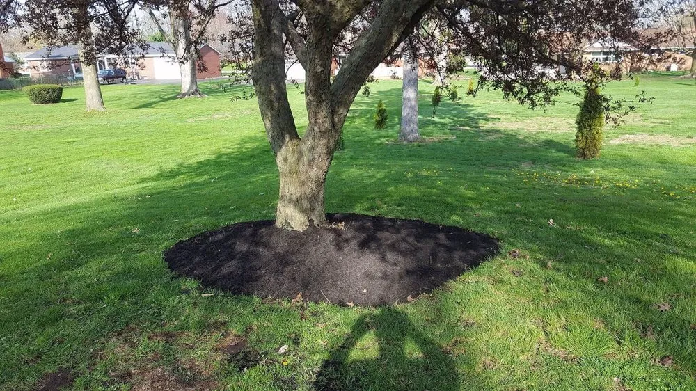 Affordable garden landscaping in Canton, OH - C&d Lawn Service