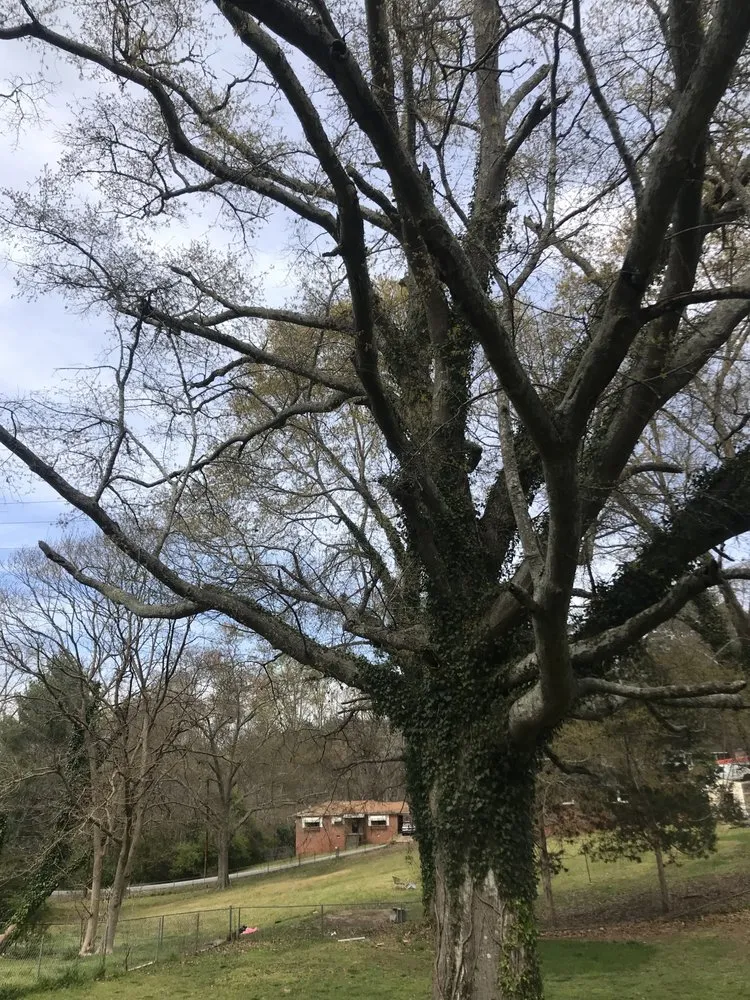 Reliable garden landscaping with custom design across Piedmont, SC - C&D Lawncare & Tree Service