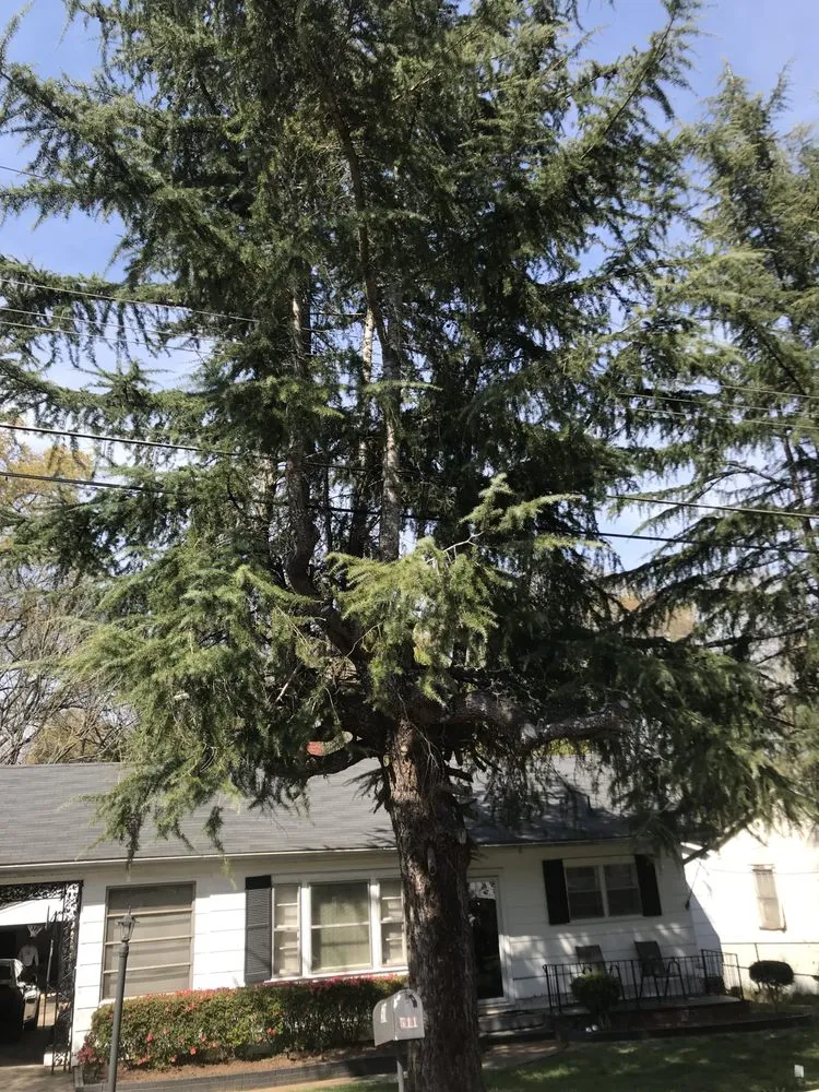 Trusted landscape installation in Piedmont, SC - C&D Lawncare & Tree Service