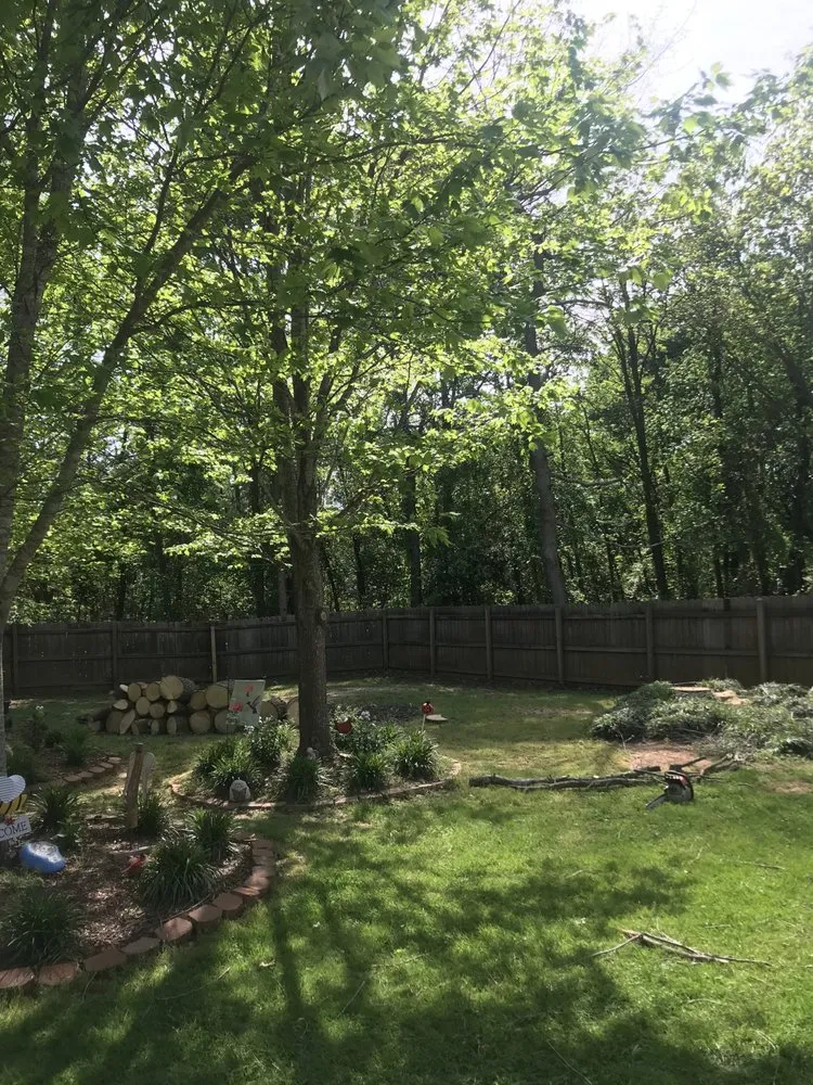 Reliable yard maintenance experts serving Piedmont, SC - C&D Lawncare & Tree Service