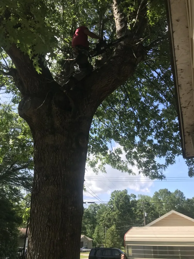 Professional lawn mowing service in Piedmont, SC by C&D Lawncare & Tree Service