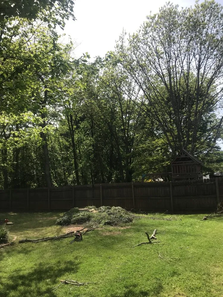 Top-rated yard cleanup service in Piedmont, SC - C&D Lawncare & Tree Service
