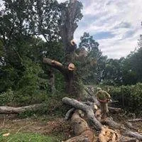 Expert residential landscaping near you in Piedmont, SC by C&D Lawncare & Tree Service