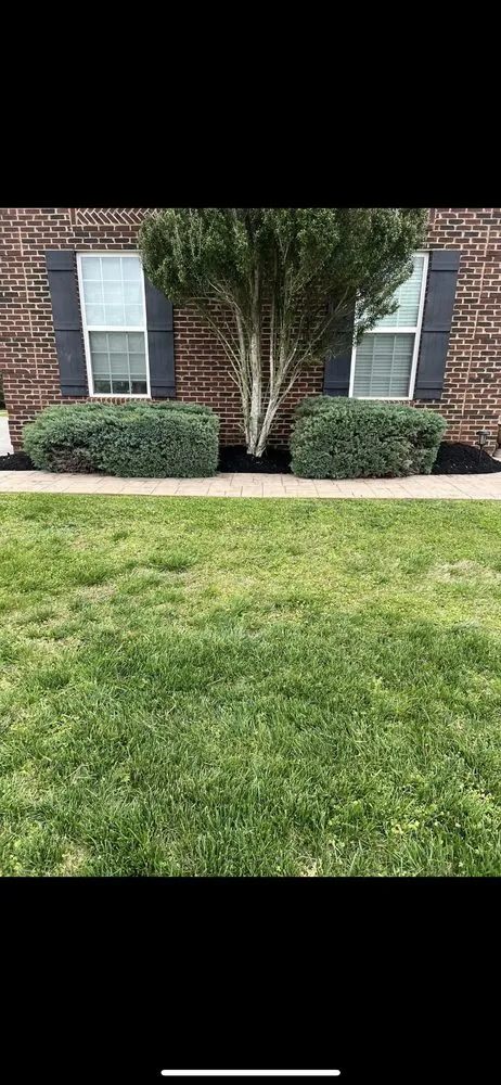Reliable landscape design for year-round maintenance in Philadelphia, TN by C&D Lawncare and Landscaping