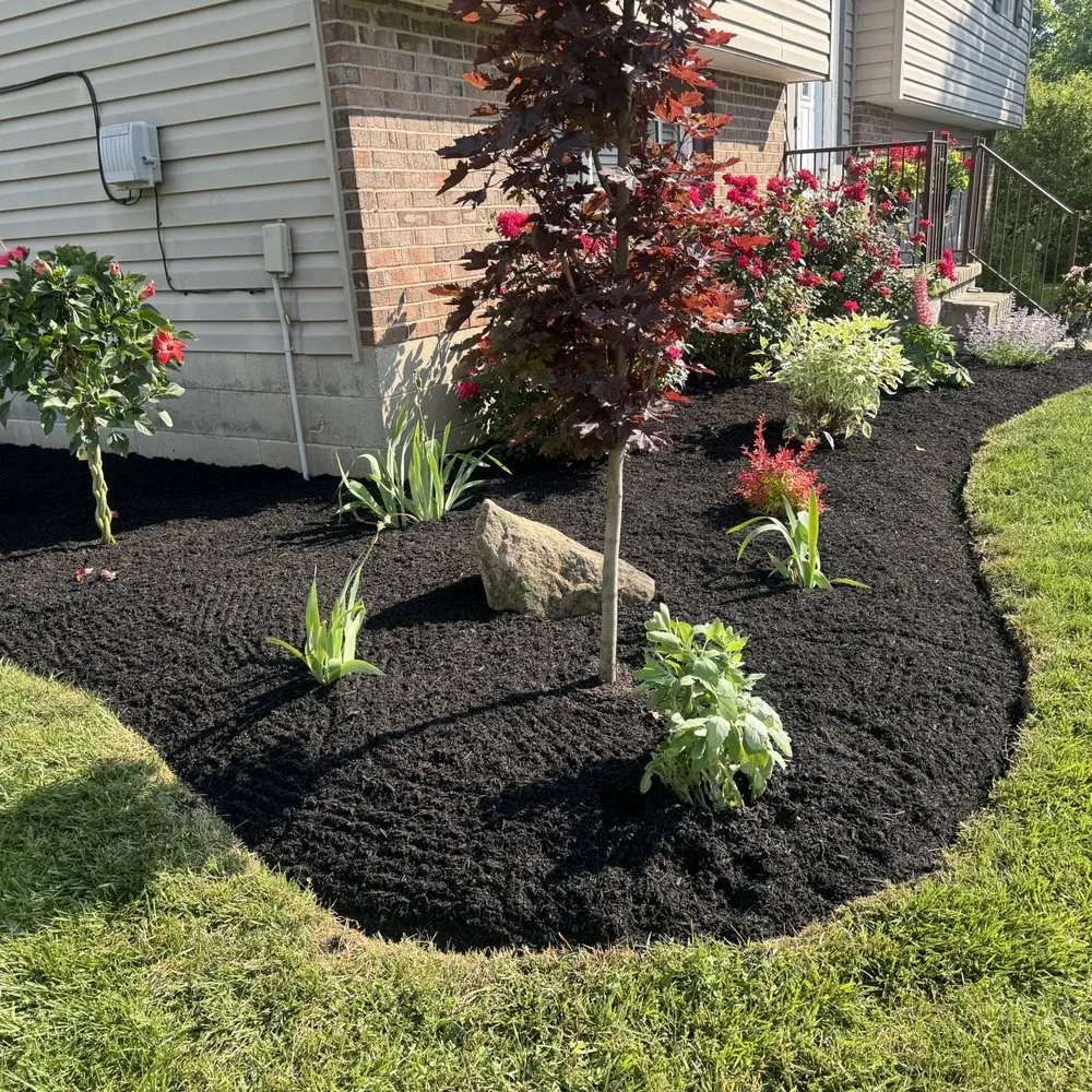 Professional lawn mowing service in Mason, OH - Cd Lawn&Pressure