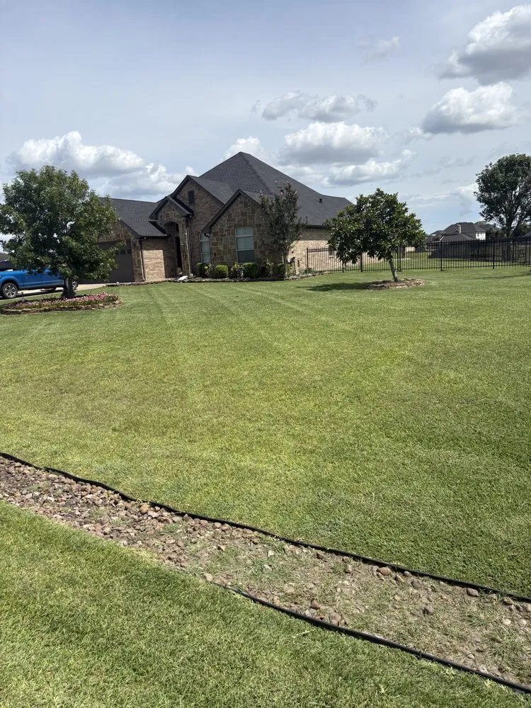 Custom yard cleanup service in Rosharon, TX - CD Services