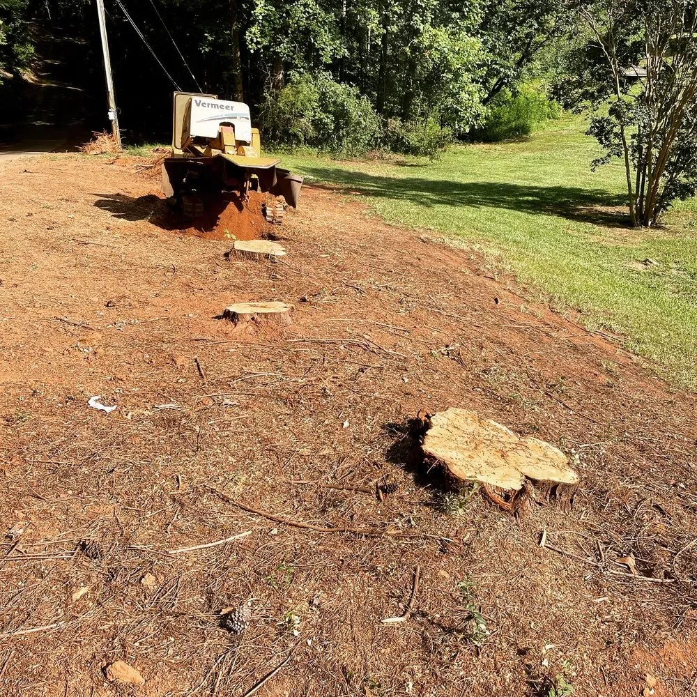 Top-rated residential landscaping for outdoor upgrades across Gainesville, GA - CD Stump Grinding