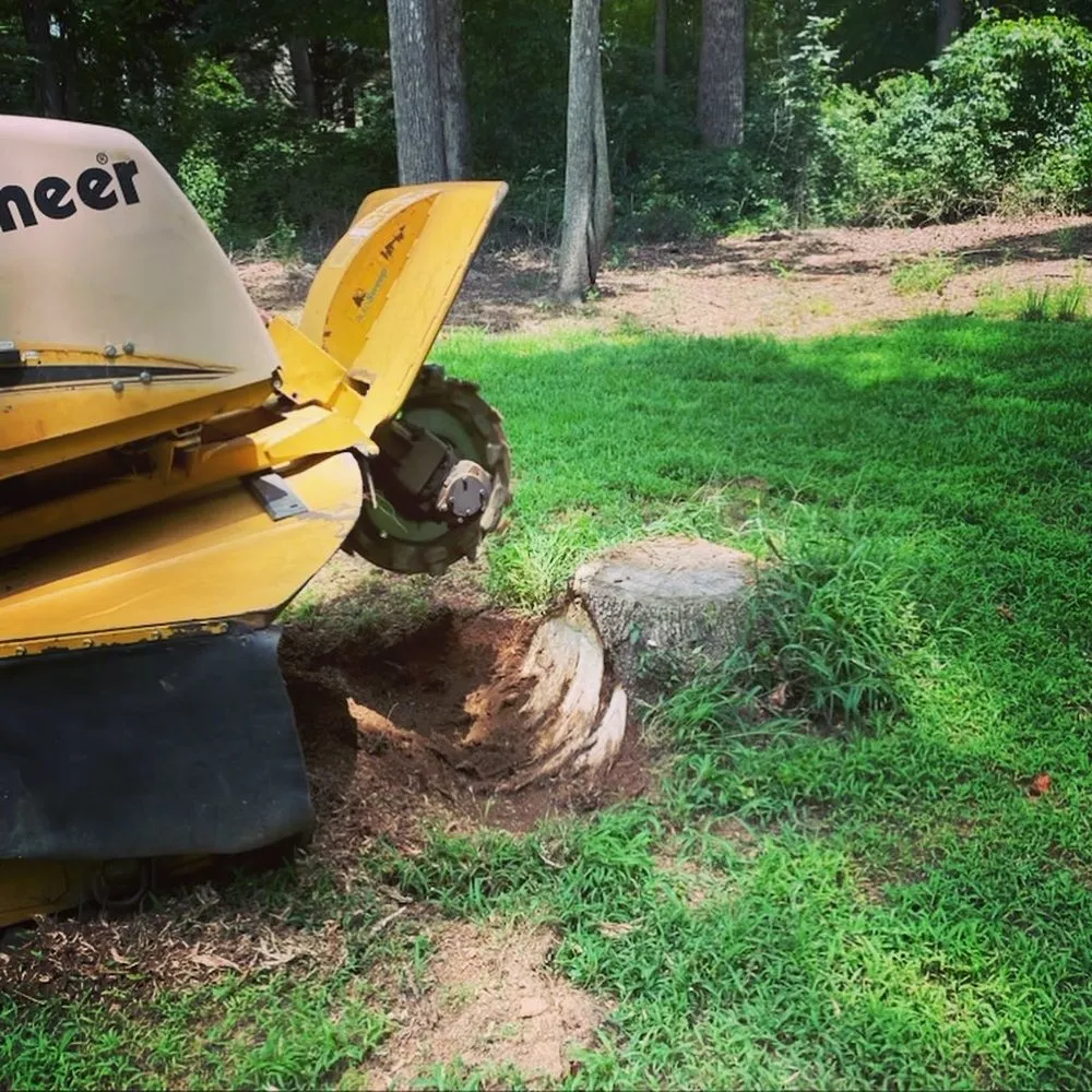Custom landscape installation for year-round maintenance in Gainesville, GA by CD Stump Grinding