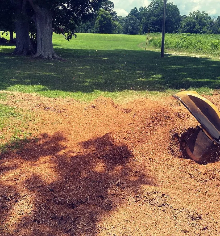 Local garden landscaping for homes across Gainesville, GA - CD Stump Grinding