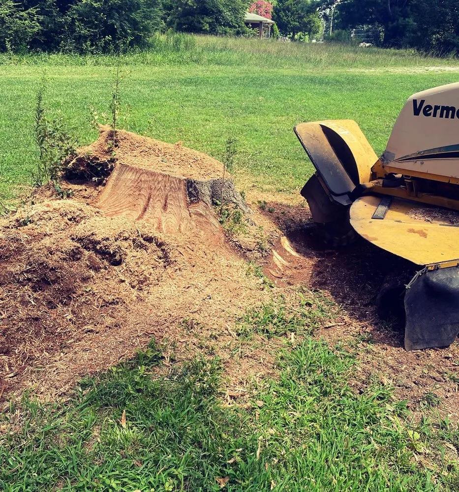 Trusted lawn care service in Gainesville, GA - CD Stump Grinding