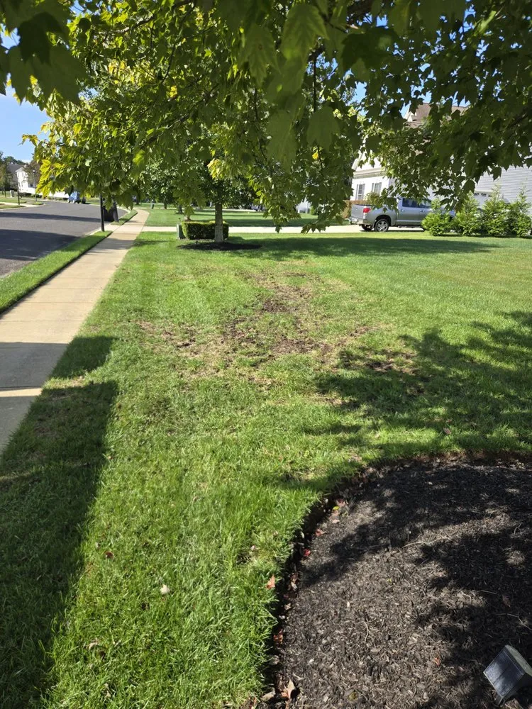 Expert yard maintenance in Bridgeton, NJ - CDA Project Solutions
