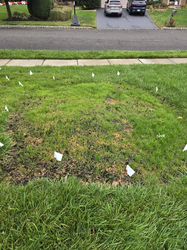 Reliable landscaping services in Bridgeton, NJ by CDA Project Solutions