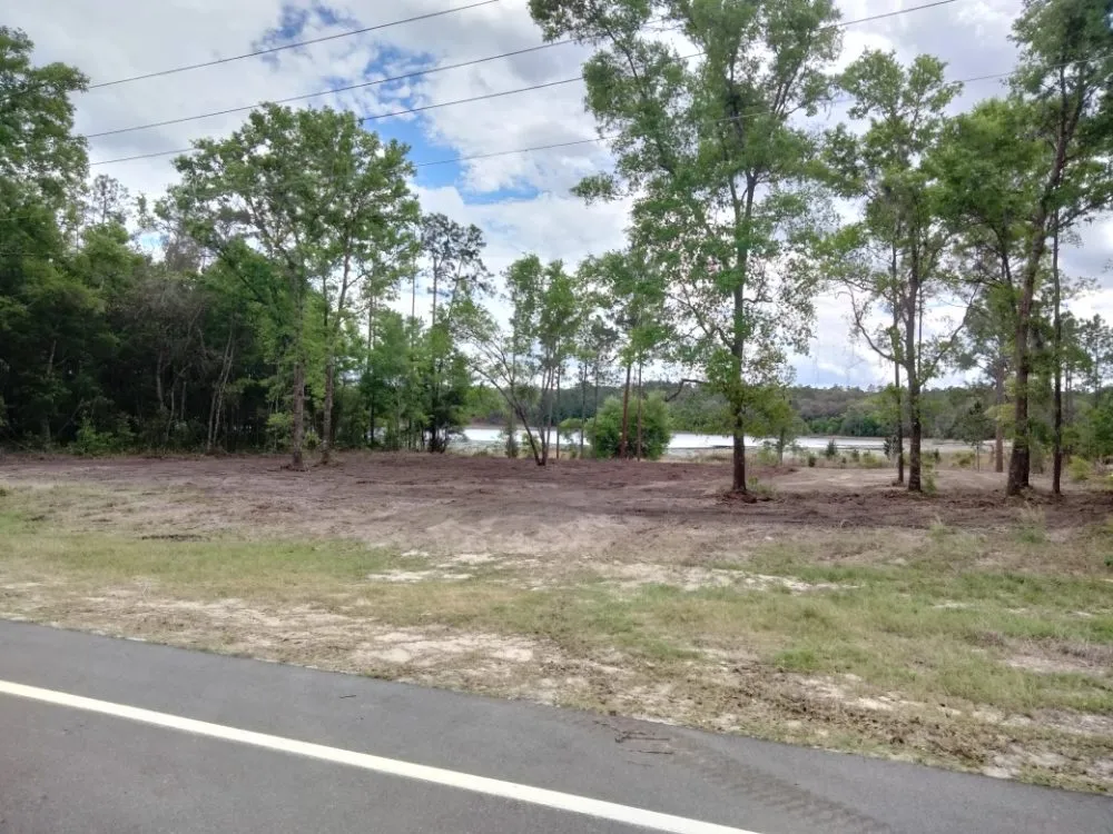 Custom landscaping services in Earleton, FL by Cdat Lawn Maintenance and Clean Up