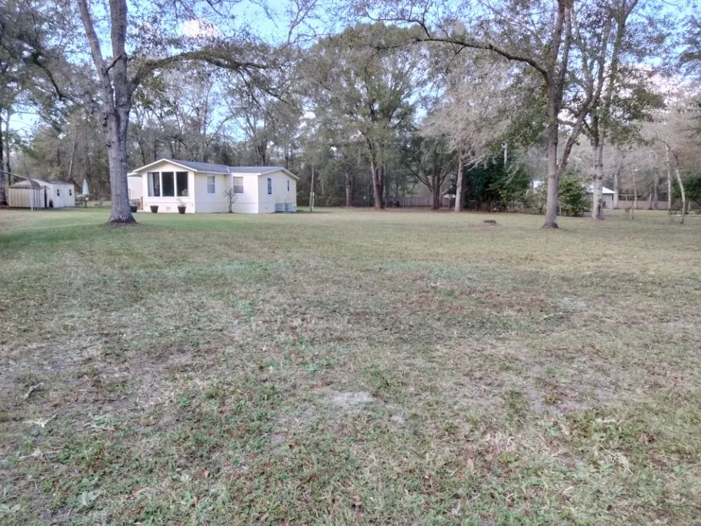 Professional yard cleanup service experts serving Earleton, FL - Cdat Lawn Maintenance and Clean Up