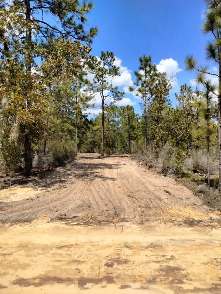 Expert outdoor landscaping near you in Earleton, FL by Cdat Lawn Maintenance and Clean Up