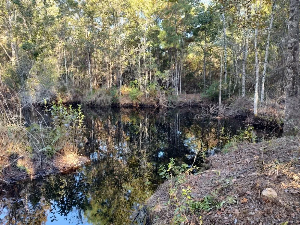 Trusted yard maintenance in Earleton, FL - Cdat Lawn Maintenance and Clean Up