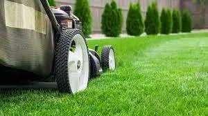 Reliable landscaping services in Killeen, TX - CDB Solution LLC