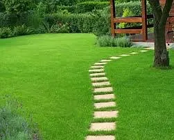 Reliable yard maintenance in Killeen, TX by CDB Solution LLC