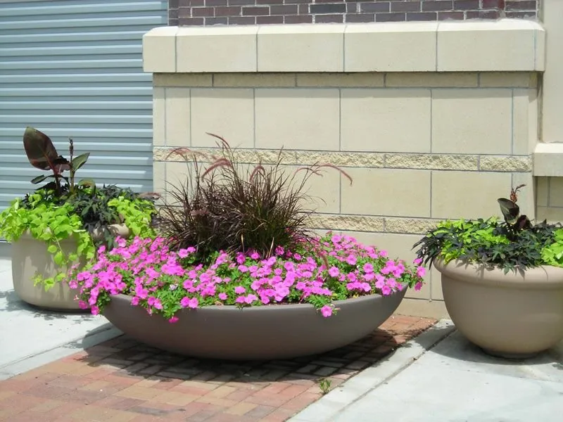 Top-rated landscape design for homes across Wht Settlemt, TX - CDC & Crews Landscaping