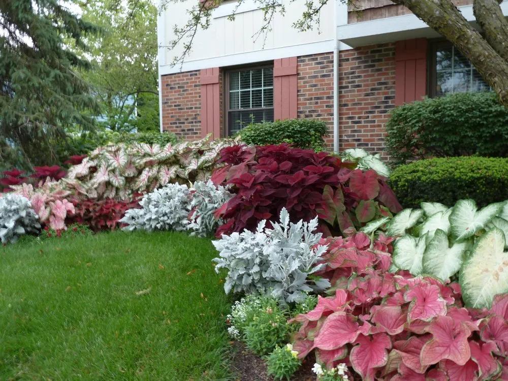 Custom garden landscaping experts serving Wht Settlemt, TX - CDC & Crews Landscaping